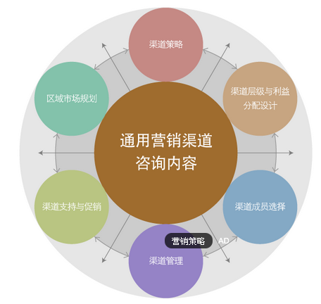 网络信息对内容营销策略调整的影响是什么