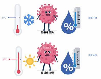 信息传播速度对环境保护的影响